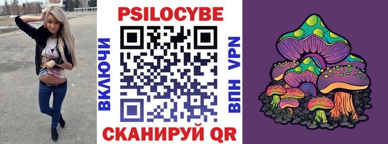 где продают наркотики  площадка как зайти  Галлюциногенные грибы мухоморы  Приволжск 